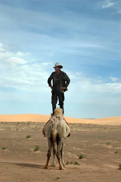 사막에서 — 스톡 사진
