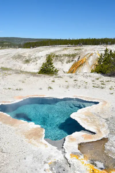 Piscina Cuenca Del Geiser Superior Del Parque Nacional Yellowstone Wyoming —  Fotos de Stock