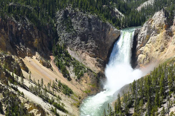 Les Lower Falls Grand Canyon Rivière Yellowstone Parc National Yellowstone — Photo