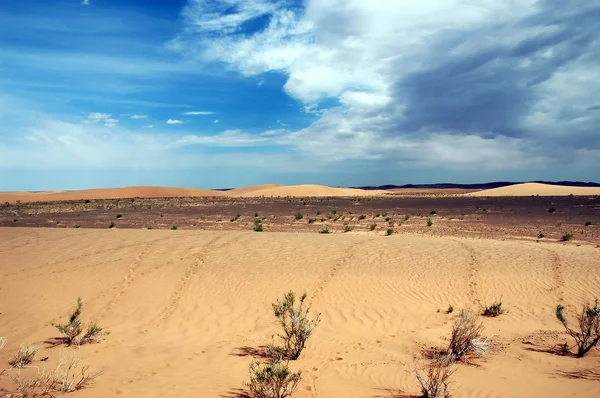 Dunas Arena Desierto Gobi Mongolia —  Fotos de Stock