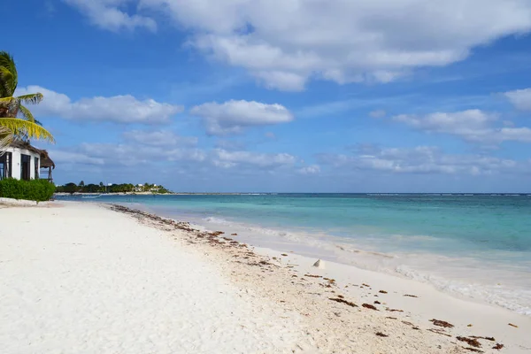 Tropischer Strand Der Nähe Von Playa Del Carmen Auf Mexikos — Stockfoto