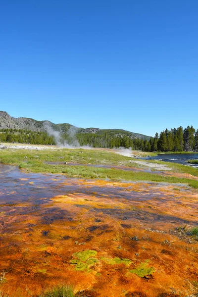 Keksz Medencében Yellowstone Nemzeti Parkban Wyoming — Stock Fotó