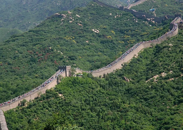 Folle Sulla Grande Muraglia Cinese — Foto Stock