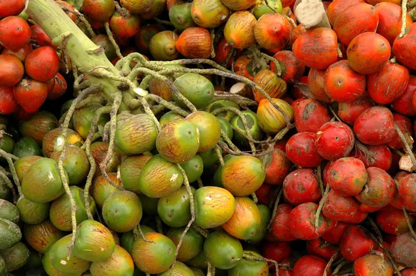 Pejibaye Stand Frutas Frescas — Fotografia de Stock