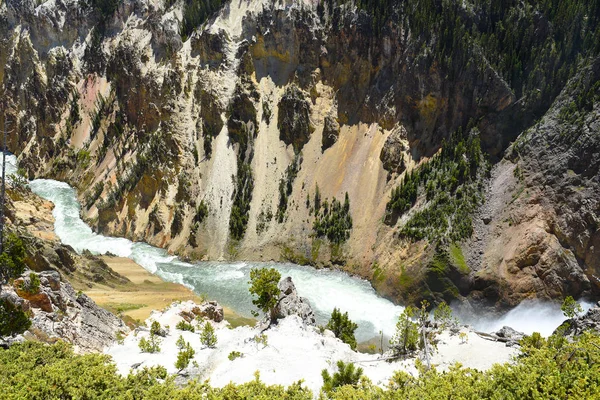 Rivière Yellowstone Vue Lower Falls — Photo