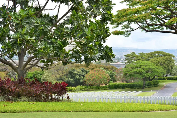 マニラ フィリピン 2016 マニラのアメリカの墓地および記念碑 206 墓それは私たちスタッフにとって最大の第二次世界大戦墓地です — ストック写真