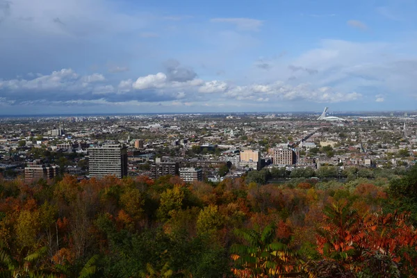 Şehir Görünümü Montreal Kanada Olimpiyat Stadyumu Sonbahar Yaprakları Ile — Stok fotoğraf