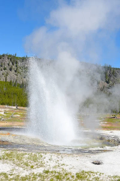 Geyser Biscuit Basin Area Upper Geyser Basin Yellowstone National Park — Stock Photo, Image