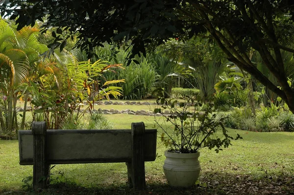 Τροπικός Κήπος Πάγκο Πετρών — Φωτογραφία Αρχείου