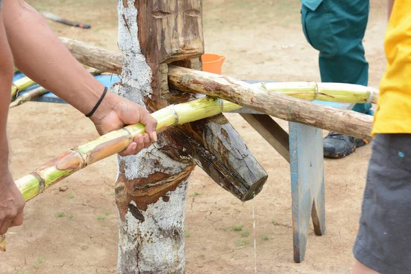 Santa Ana Dorp Peru Oktober 2015 Dorpelingen Knijpen Van Suikerriet — Stockfoto