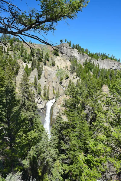 Tower Fall Dans Parc National Yellowstone Plonge 132 Pieds Dans — Photo
