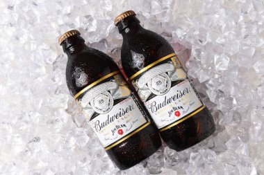 Irvine, California - 17 Ekim 2018: İki şişe Budweiser bakır Lager rezerv koleksiyonu buz üzerinde. Sınırlı sayıda bira Jim Beam burbon varil Staves üzerinde yaşlı olduğunu. 