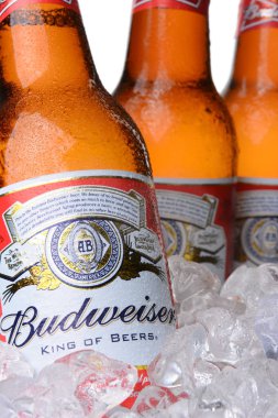 Irvine, Ca - 30 Mayıs 2014: Closeup Budweiser bira şişeleri buz. Anheuser-Busch InBev Budweiser yerli bira Amerika Birleşik Devletleri'nde en çok satan biridir.