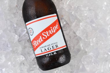 IRVINE, CA - JANUARY 11, 2015: Red Stripe Jamaican Style Lager on a bed of ice closeup. Brewed in Jamaica since 1938 by Desnoes & Geddes its international distribution is handled by Diageo. clipart