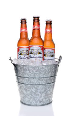 Irvine, Ca - 27 Mayıs 2014: Budweiser şişe bir kova buz. Anheuser-Busch InBev Budweiser yerli bira Amerika Birleşik Devletleri'nde en çok satan biridir.