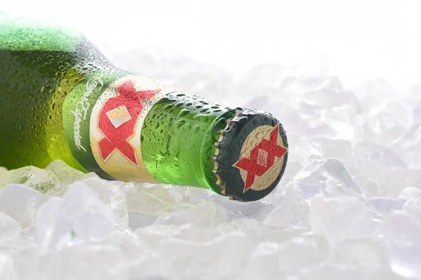 Irvine Giugno 2017 Dos Equis Blanca Ice Una Singola Bottiglia — Foto Stock