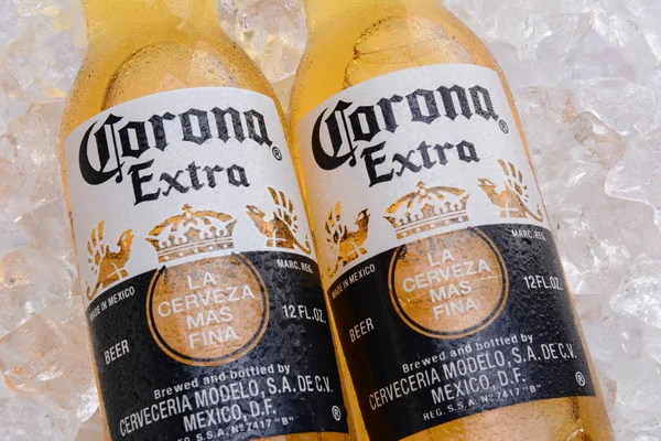 Irvine May 2014 Two Bottles Corona Extra Beer Bed Ice — Stock Photo, Image