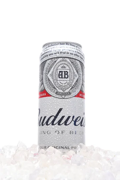 Irvine Californie Mars 2018 Une Canette Bière Budweiser Onces Dans — Photo