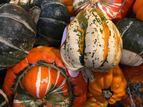 Decorative Pumpkins Fall Farmers Market Display Ornamental Pumpkins Gourds — Stock Photo, Image