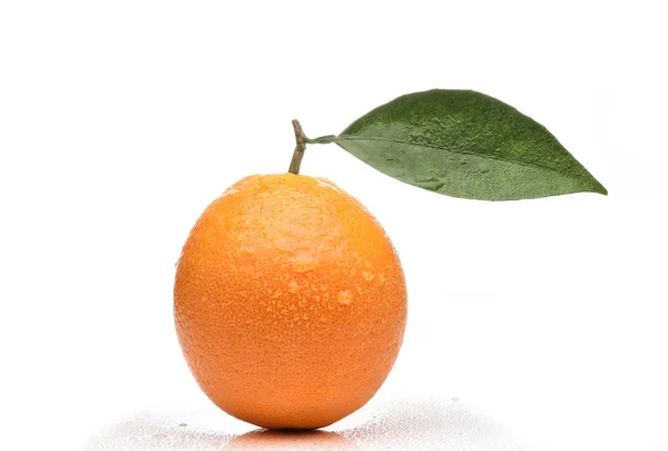Primo piano di una fresca arancia navel raccolta con gambo e foglia — Foto Stock