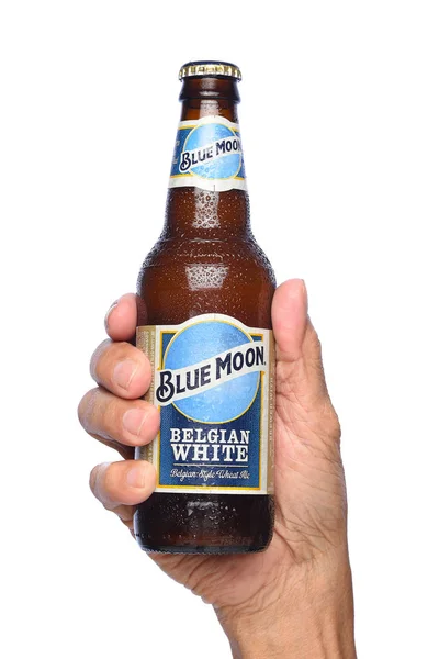 Primer plano de una mano sosteniendo una botella de Blue Moon Belgian White A — Foto de Stock