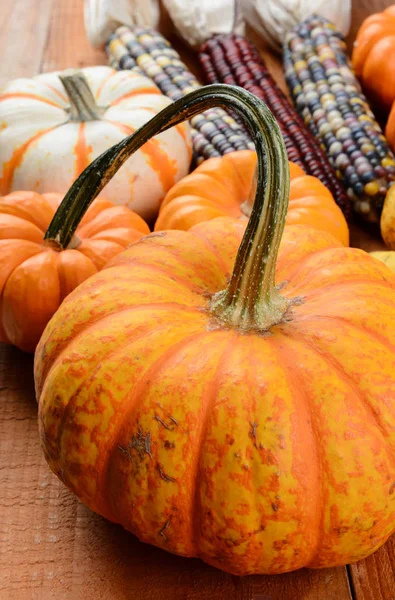 Citrouilles décoratives et maïs indien sur une surface en bois rustique . — Photo