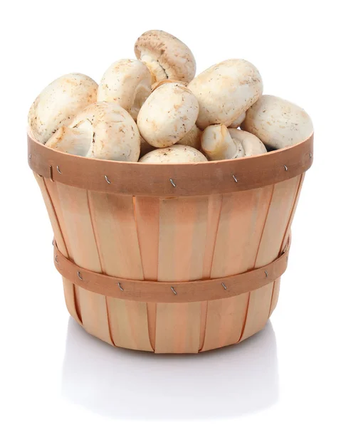 Čerstvé houby v křovinkovém koši na bílém backgrou — Stock fotografie