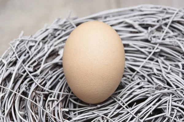 Closeup Single Light Brown Chicken Egg Nest Twigs — Stock Photo, Image