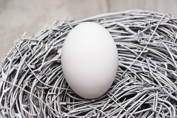 Nahaufnahme Eines Einzigen Weißen Hühnereiers Einem Nest Aus Zweigen — Stockfoto