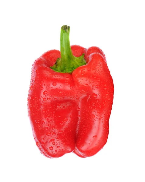 Closeup Red Bell Pepper Isolated White — Stock Photo, Image