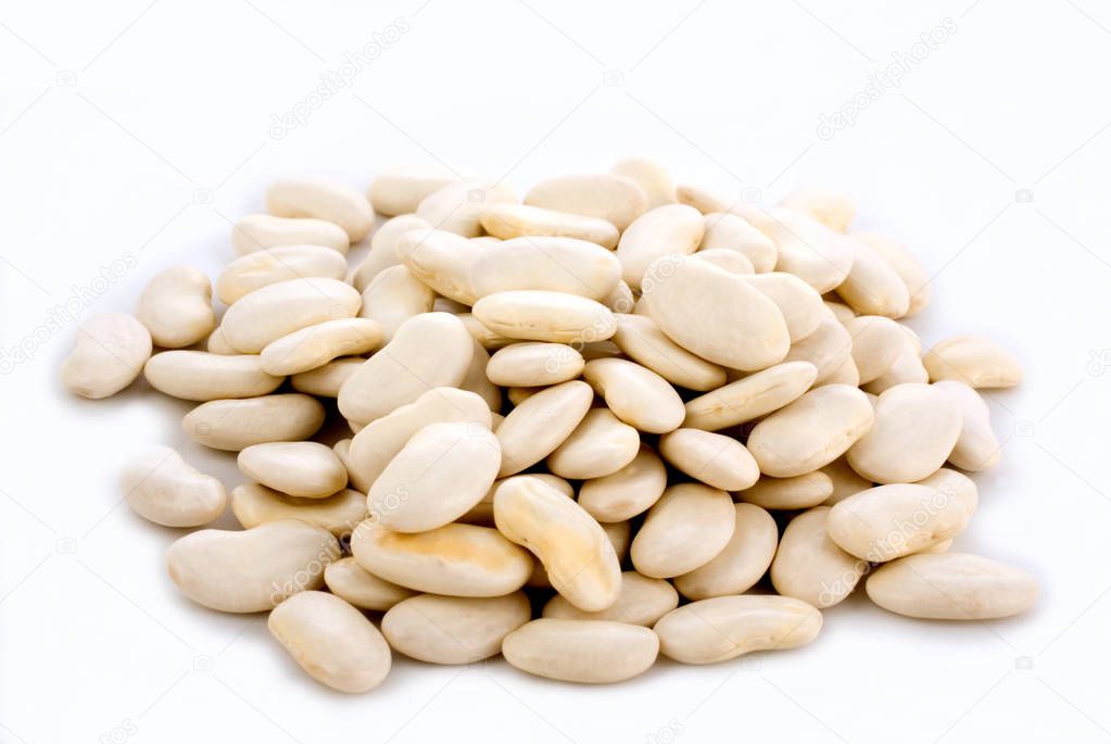 white dry beans close-up