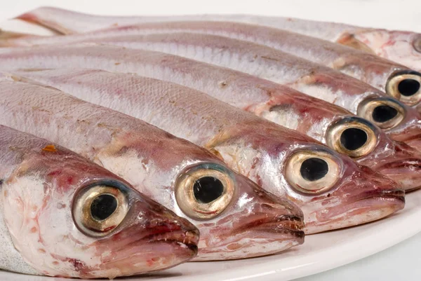 Uncooked  fresh fishes in white dish — Stock Photo, Image