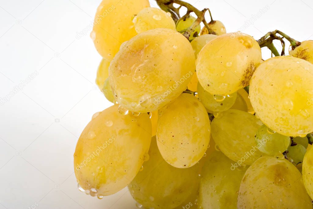 white grape cluster close-up