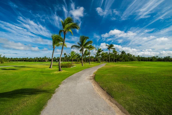 Pole Golfowe Tropikalnej Wyspie — Zdjęcie stockowe