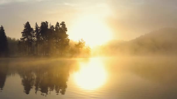 Morning Fog Mountain Lake Sunrise Shot — Stock Video