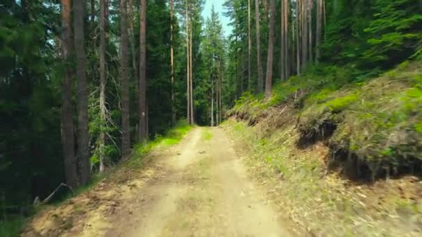 Route dans la forêt de montagne 