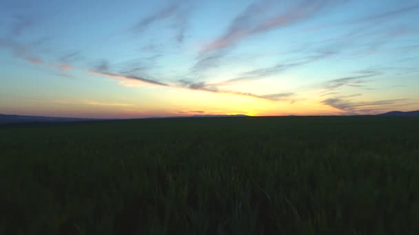 Campo Agrícola Verde Azul Pôr Sol Céu Vídeo — Vídeo de Stock