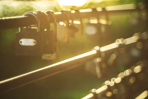 Cadenas Sur Une Clôture Jardin Fil — Photo