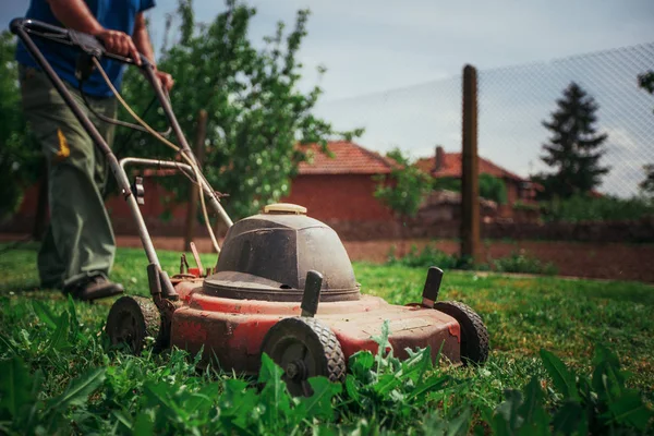 Cortador Grama Cortando Grama Verde Quintal Fundo Jardinagem — Fotografia de Stock