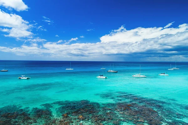 Vue Aérienne Plage Île Tropicale République Dominicaine — Photo