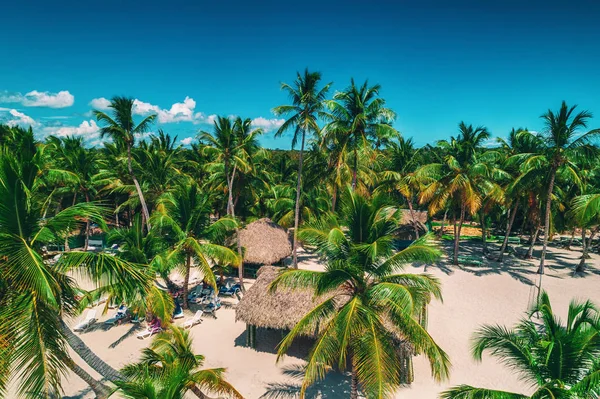 Vista Aérea Playa Isla Tropical República Dominicana — Foto de Stock