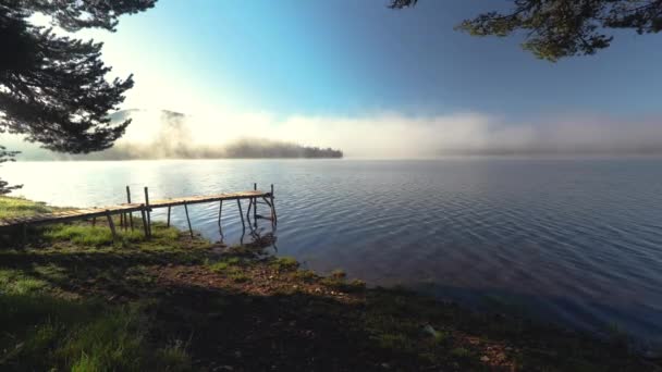 Brouillard Matinal Sur Lac Montagne Dans Forêt — Video