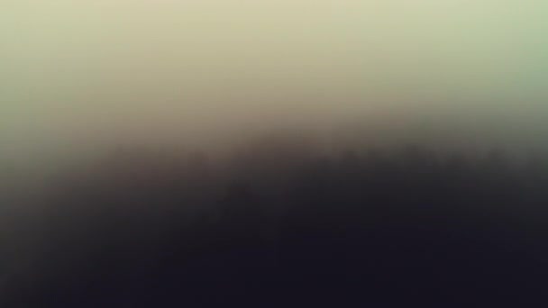 Вид Воздуха Утренний Туман Озере Снимок Восхода Солнца — стоковое видео