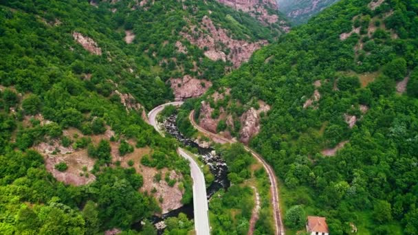 Flygfoto Över Drönare Över Bergsväg Och Kurvor Går Igenom Skogslandskapet — Stockvideo