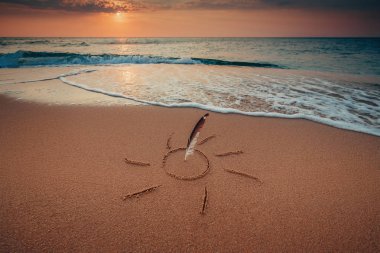 Martı tüy kum denize, gündoğumu sho sıkışmış