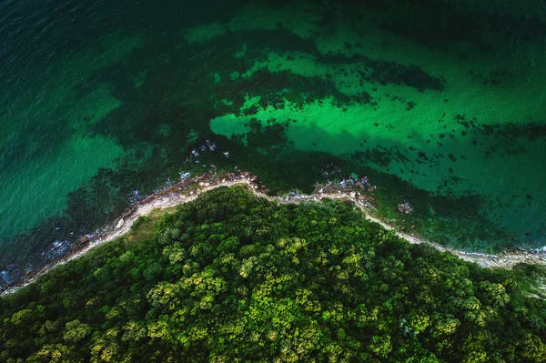 Вид Повітря Дикий Пляж Ліс — стокове фото