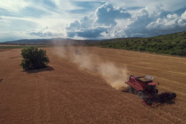 Vista Aérea Sobre Combinação Trabalho Campo Trigo Grande — Fotografia de Stock