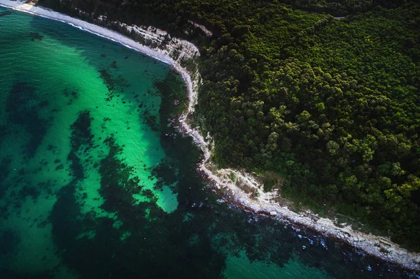 Luftaufnahme Von Wildem Strand Und Wald — Stockfoto