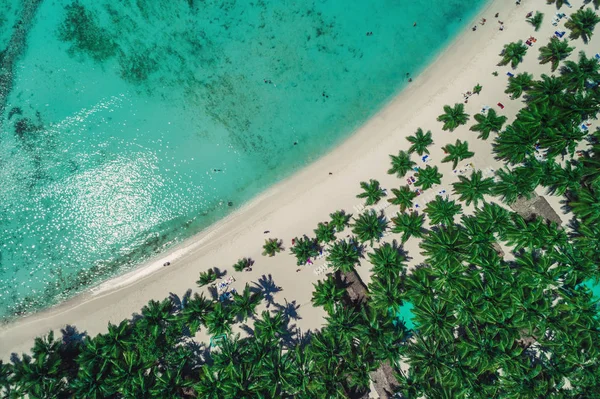 Luftaufnahme Vom Strand Der Tropischen Insel Dominikanische Republik — Stockfoto