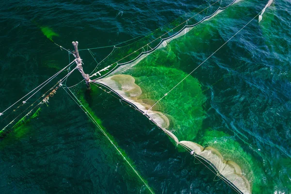Рибальські Мережі Морській Воді Поблизу Узбережжя Чорного Моря Поданні Drone — стокове фото